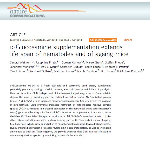 Glucosamine could extend life span